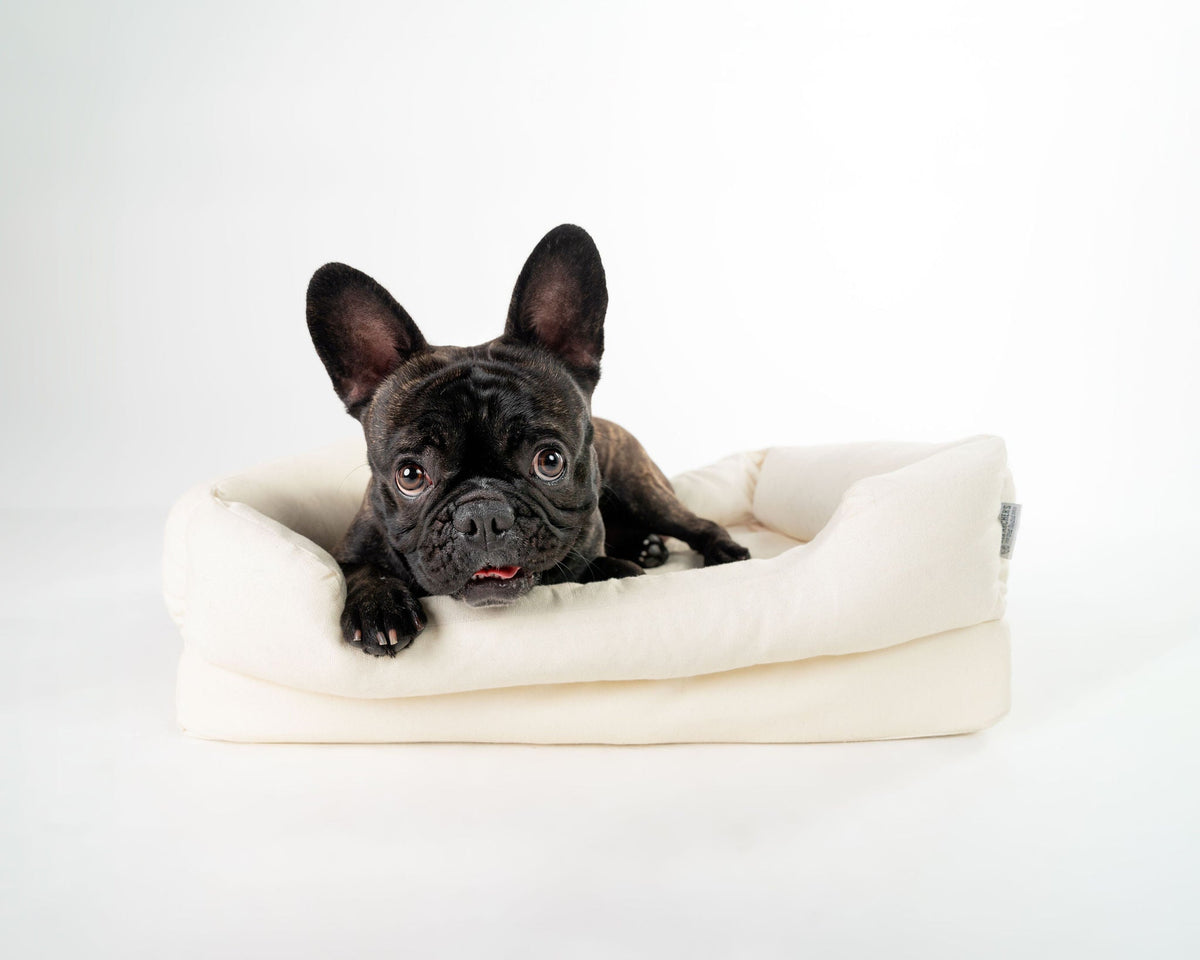 Orthopedic Dog Bed product image 23