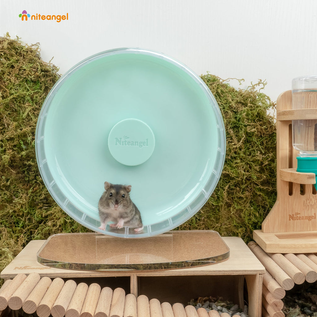 Super-Silent Hamster Exercise Wheel with Adjustable Height and Dual-Bearing Spinner in Four Sizes source image 24