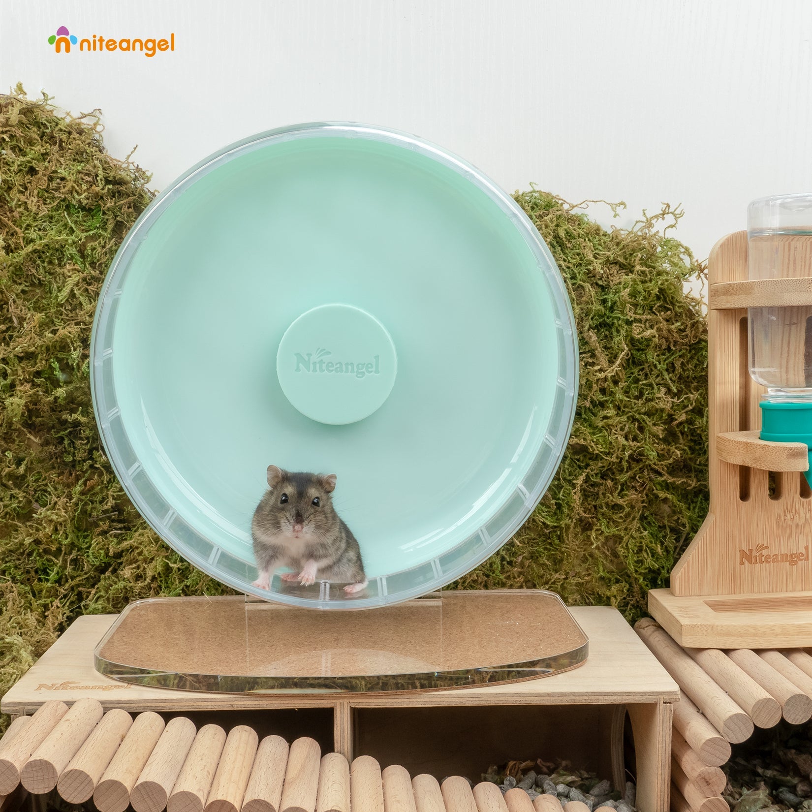 Super-Silent Hamster Exercise Wheel with Adjustable Height and Dual-Bearing Spinner in Four Sizes source image 24