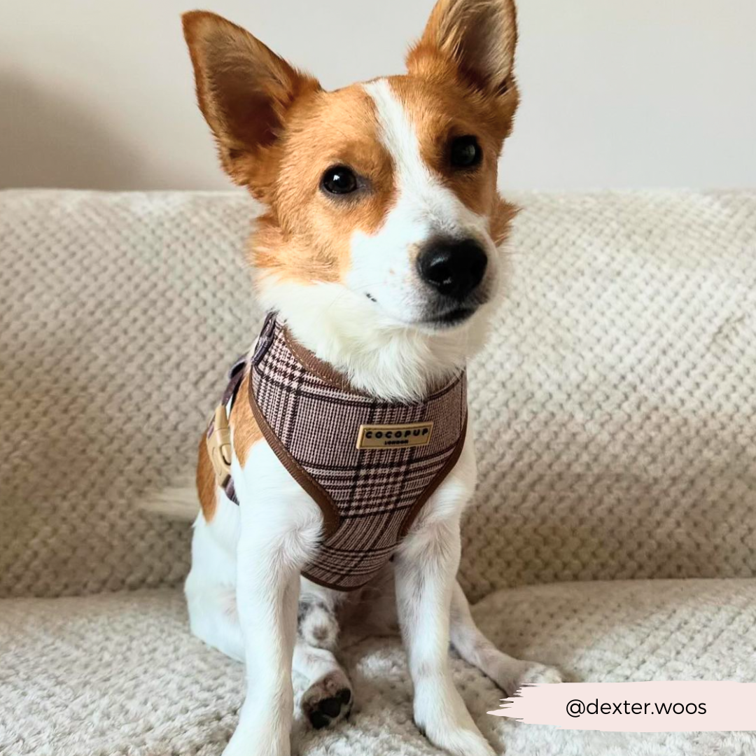 Adjustable Plaid Dog Harness for Comfortable Walks, Lightweight Polyester Design in Five Sizes source image 24