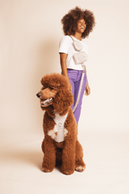 Hands-Free Dog Walking Set for Waist or Shoulder Wear, Neoprene Harness and Compact Pouch Bundle source image 24
