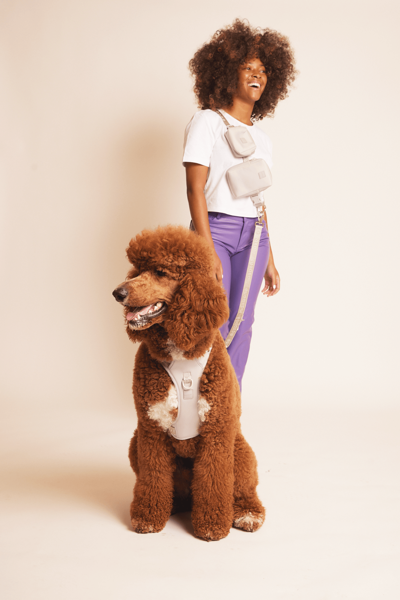 Hands-Free Dog Walking Set for Waist or Shoulder Wear, Neoprene Harness and Compact Pouch Bundle source image 24