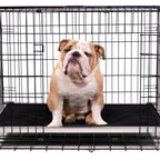 Chew-Resistant Padded Elevated Dog Crate Bed with Aluminum Frame in Five Sizes and Four Colors product image 24