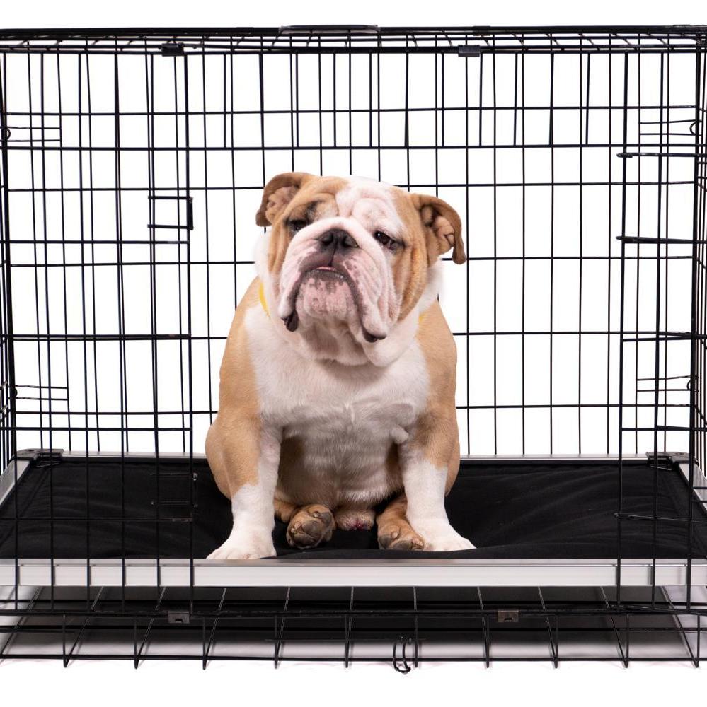 Chew-Resistant Padded Elevated Dog Crate Bed with Aluminum Frame in Five Sizes and Four Colors product image 24