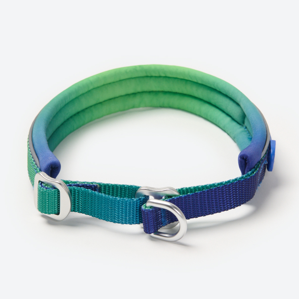Cushioned Martingale Dog Collar for Gentle Leash Guidance, Limited-Cinch Design in Five Sizes source image 24