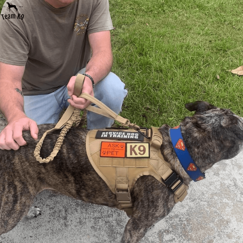 Heavy-Duty Tactical No-Pull Dog Harness with Dual D-Ring Control and Quick-Release Metal Buckles product image 24
