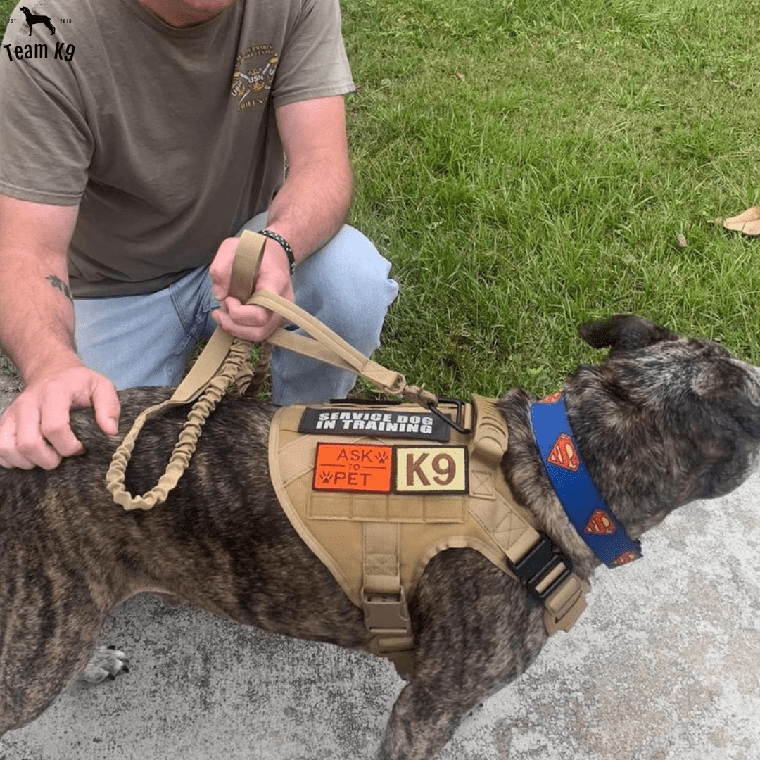 Heavy-Duty Tactical No-Pull Dog Harness with Dual D-Ring Control and Quick-Release Metal Buckles product image 24