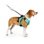 Crash-Tested Dog Car Safety Harness product image 24