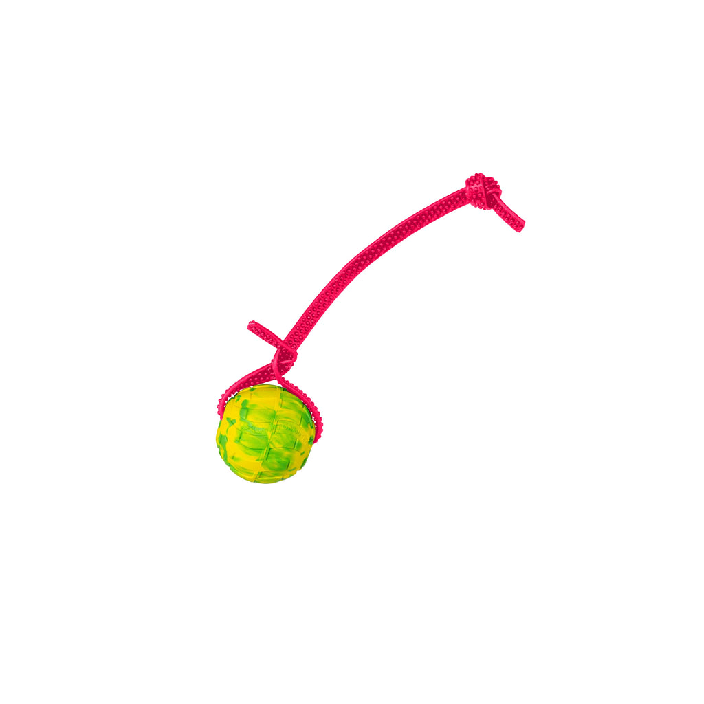 Foam Dog Ball with Grip Strap product image 24