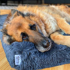Memory Foam Dog Bed product image 24