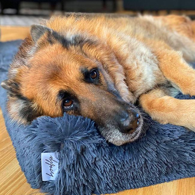 Memory Foam Dog Bed product image 24