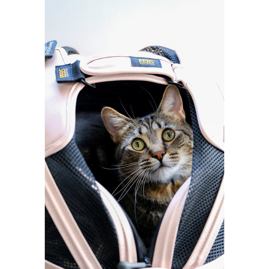 Pet Travel Carrier product image 24