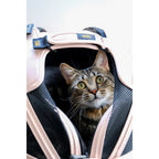 Pet Travel Carrier product image 24