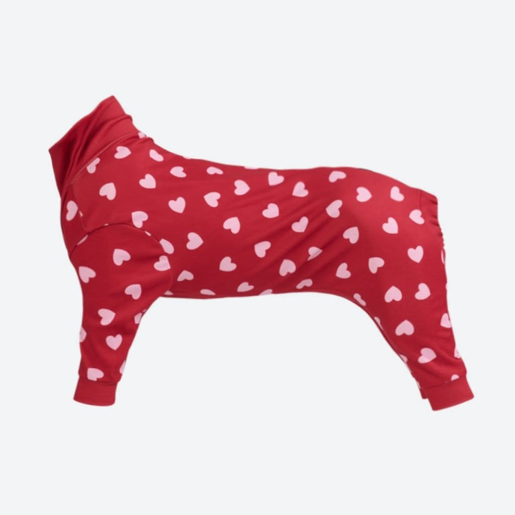 Dog Pajamas product image 24