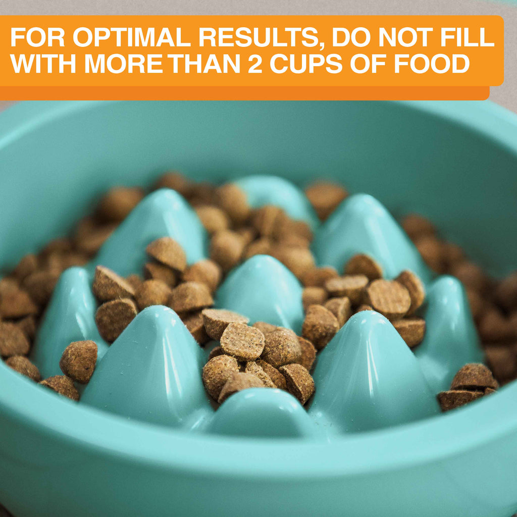 Slow Feeder Dog Bowl, Nine-Peak Non-Skid Two-Cup Design for Flat-Faced and Fast-Eating Dogs source image 25