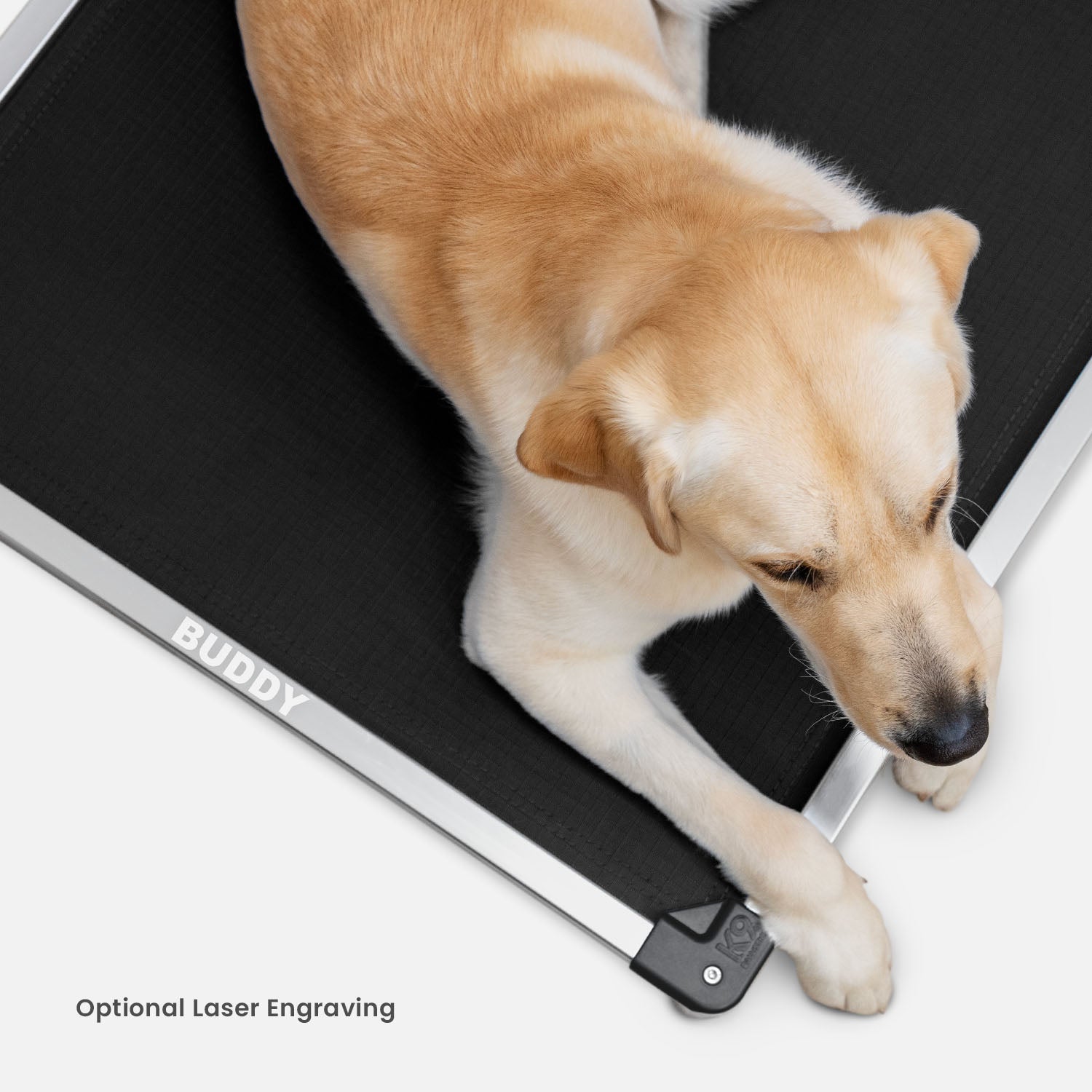 Chew-Resistant Padded Elevated Dog Crate Bed with Aluminum Frame in Five Sizes and Four Colors product image 25
