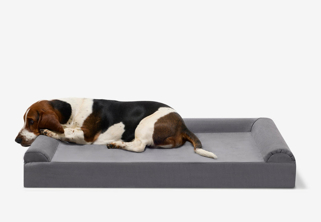 Orthopedic Dog Bed for Small and Medium Dogs, 4-Inch Layered Foam in Headrest and Sofa Styles source image 25
