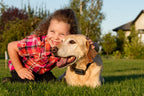 Rechargeable Electric Dog Fence System with Heavy-Duty Boundary Wire for One to Three Dogs and Large Yards source image 25