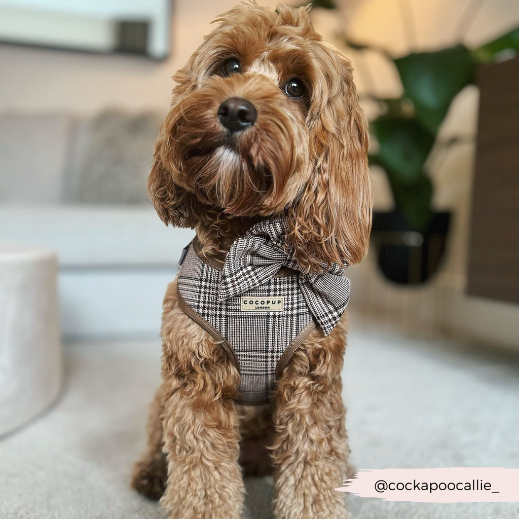 Adjustable Plaid Dog Harness for Comfortable Walks, Lightweight Polyester Design in Five Sizes source image 25