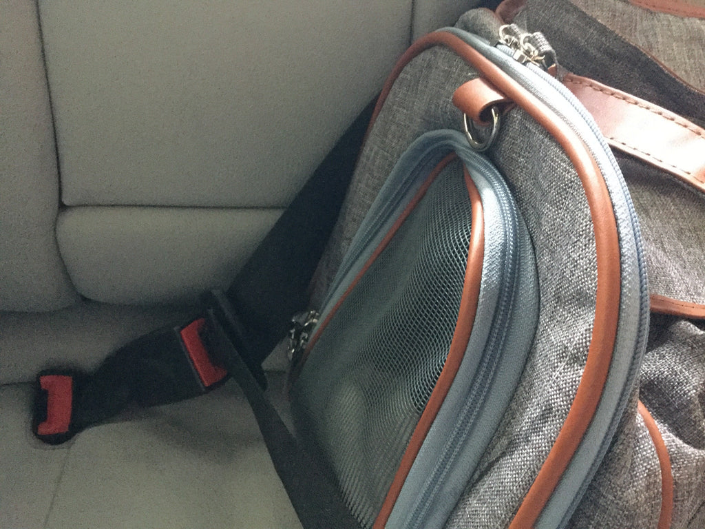 Soft-Sided Airline Pet Carrier for Cats and Small Dogs with Mesh Ventilation and Expandable Port product image 25