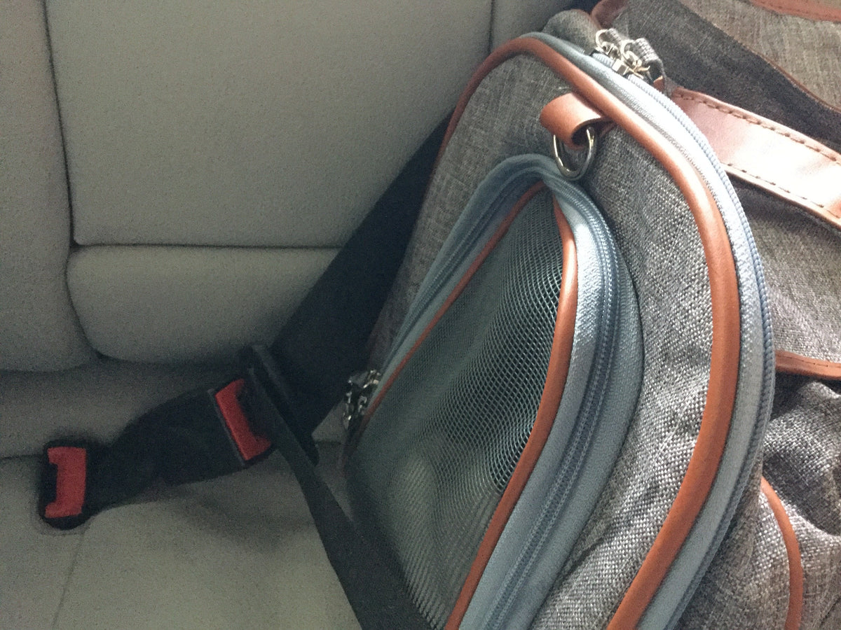 Soft-Sided Airline Pet Carrier for Cats and Small Dogs with Mesh Ventilation and Expandable Port product image 25