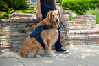 Martingale Dog Harness product image 25