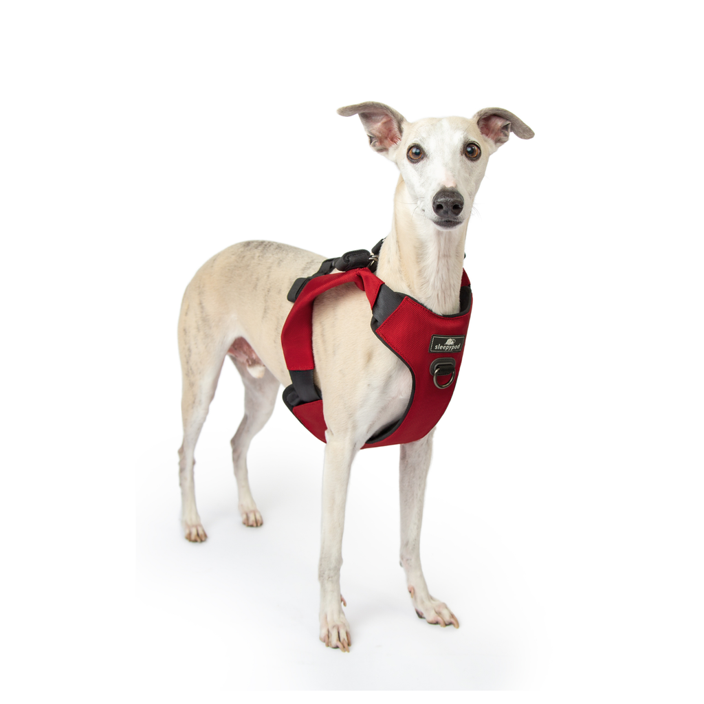 Crash-Tested Dog Car Safety Harness product image 25