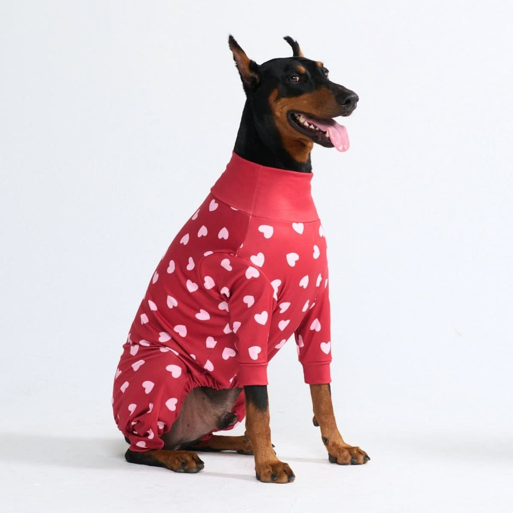 Dog Pajamas product image 25