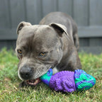 Dog Toy Collection product image 25