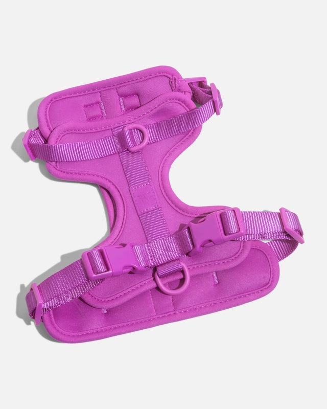 Dog Harness product image 25