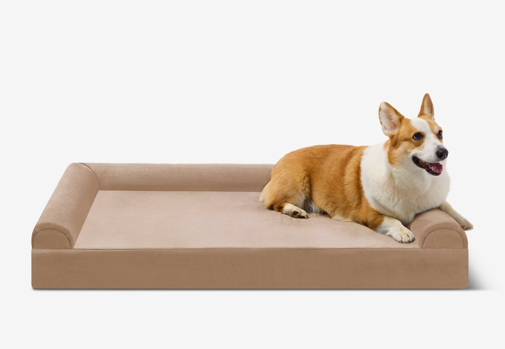 Orthopedic Dog Bed for Small and Medium Dogs, 4-Inch Layered Foam in Headrest and Sofa Styles source image 26