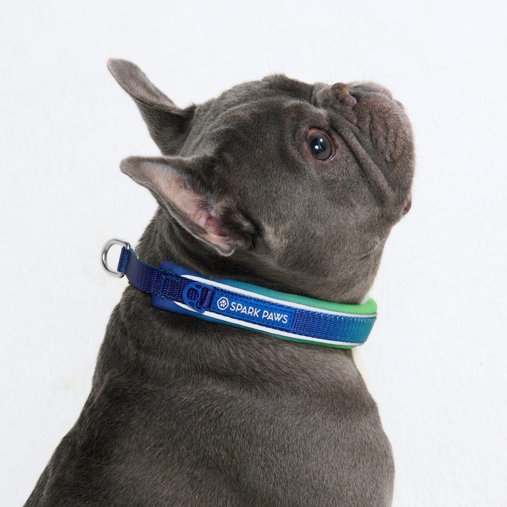 Cushioned Martingale Dog Collar for Gentle Leash Guidance, Limited-Cinch Design in Five Sizes source image 26