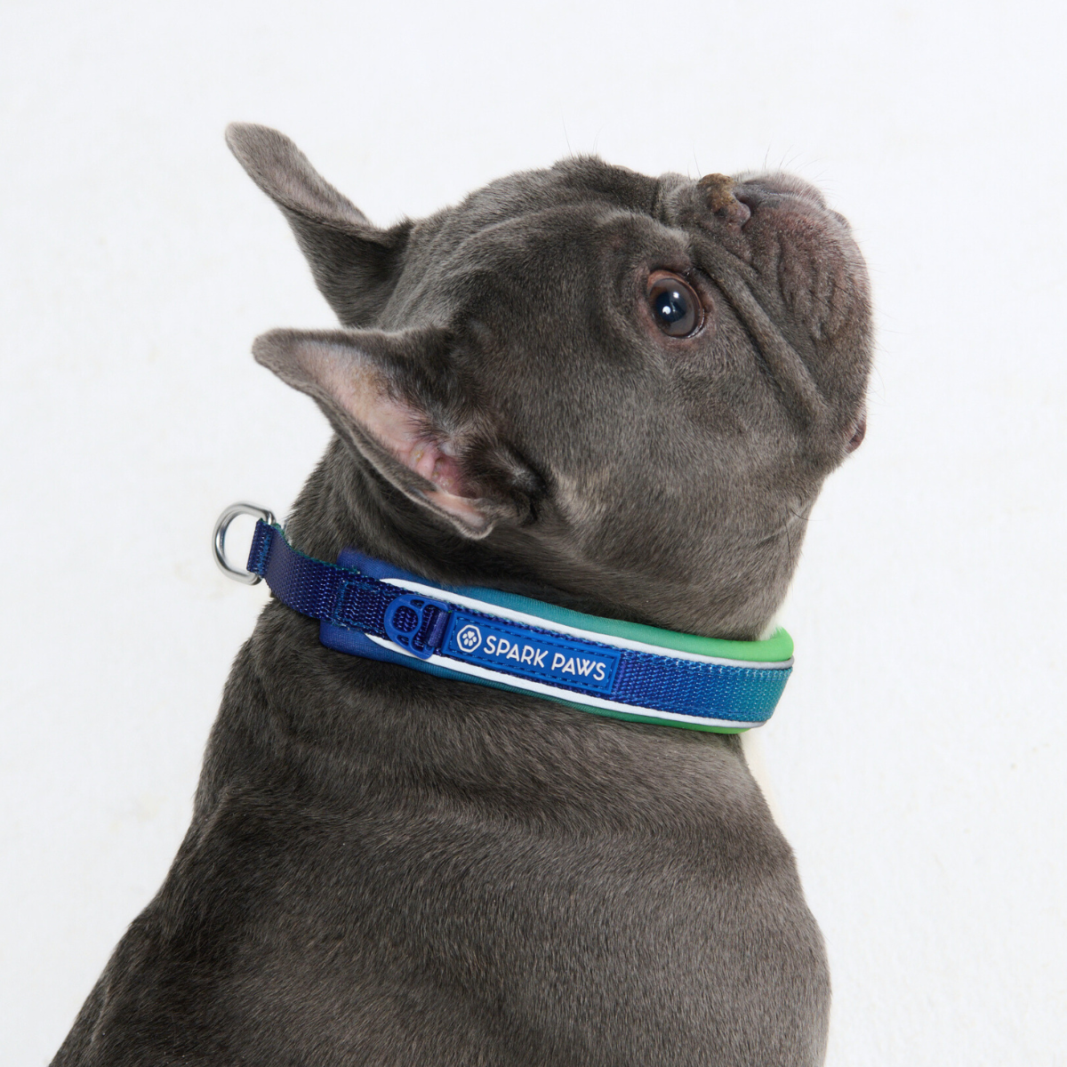 Cushioned Martingale Dog Collar for Gentle Leash Guidance, Limited-Cinch Design in Five Sizes source image 26