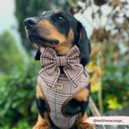Adjustable Plaid Dog Harness for Comfortable Walks, Lightweight Polyester Design in Five Sizes source image 26