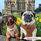 Adjustable Neck Dog Harness in Teddy Texture, Lightweight Walking Vest for XXS to Large Dogs source image 26
