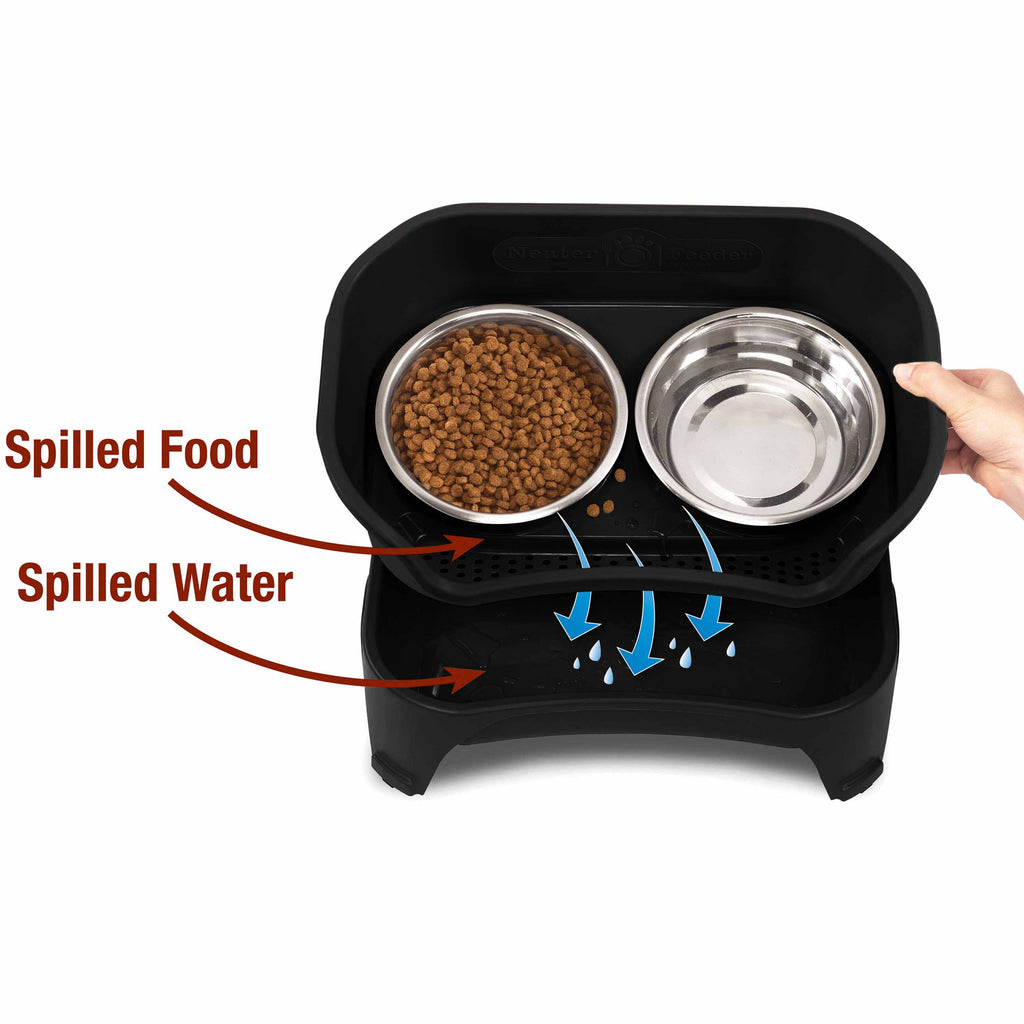 Elevated Mess-Proof Pet Feeding Station, Spill-Containment Design and Dishwasher-Safe Stainless Steel Bowls source image 26