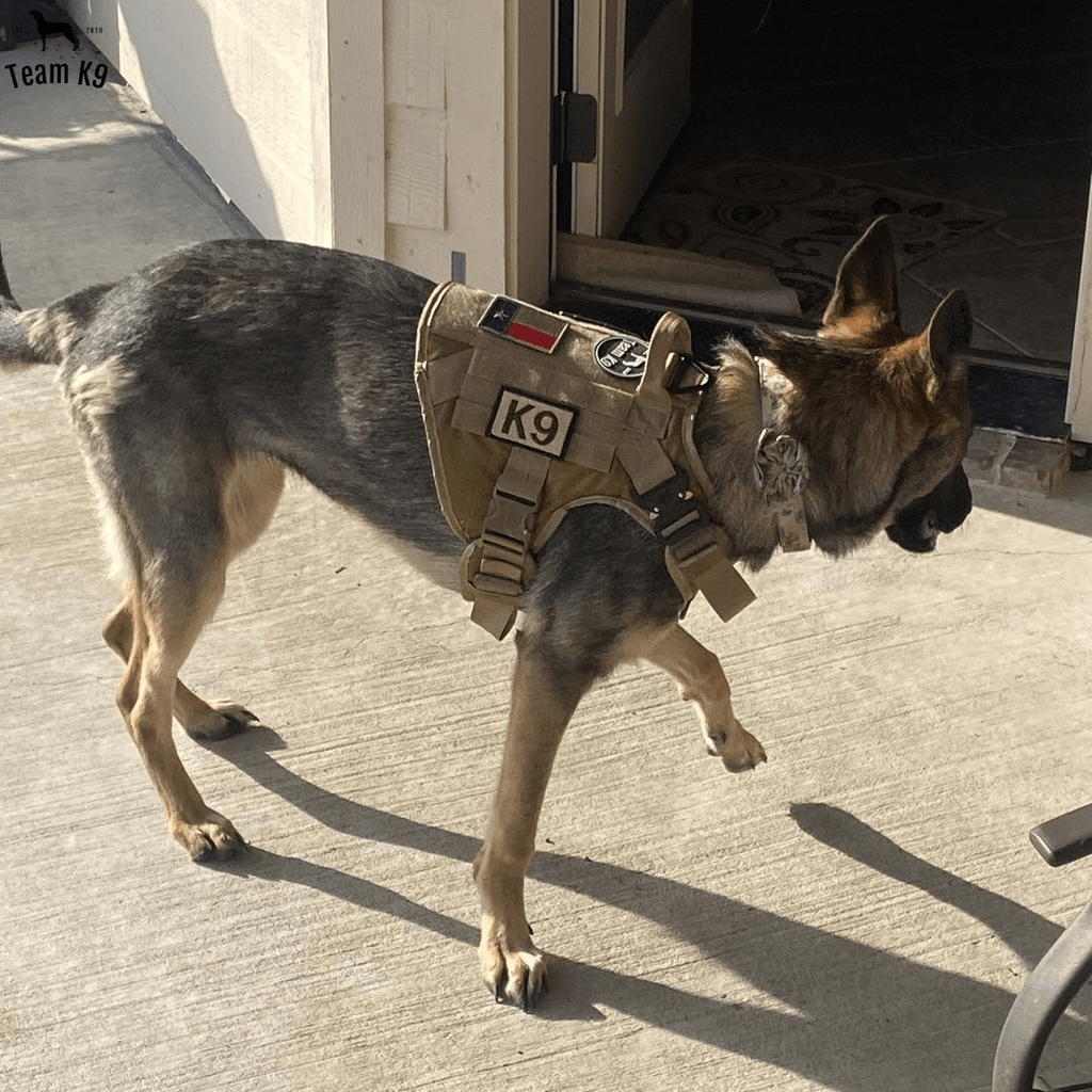 Heavy-Duty Tactical No-Pull Dog Harness with Dual D-Ring Control and Quick-Release Metal Buckles product image 26
