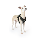 Crash-Tested Dog Car Safety Harness product image 26