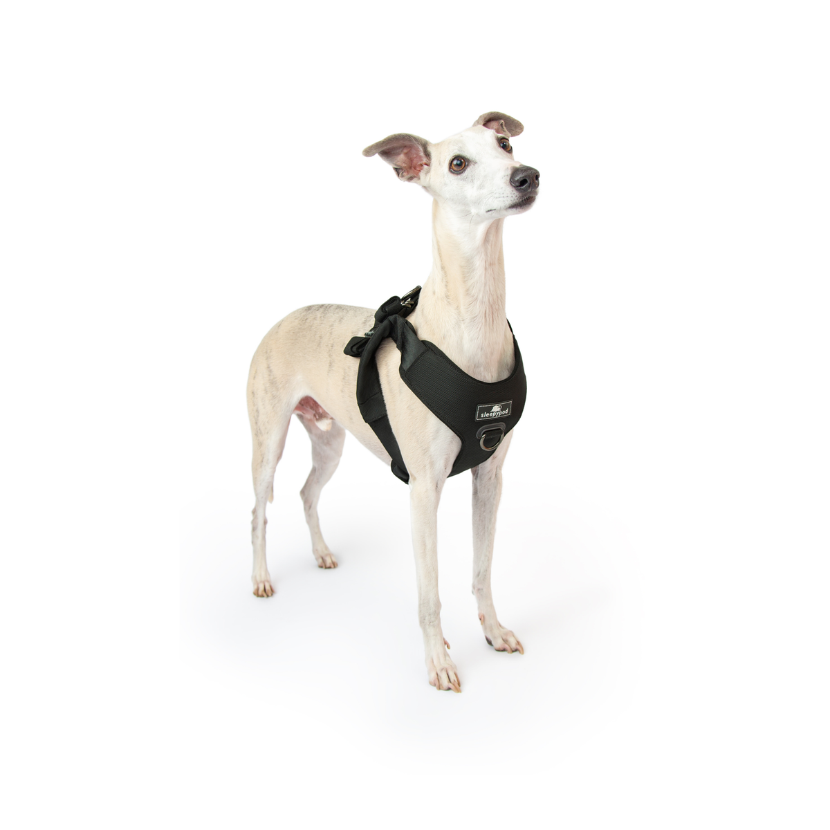 Crash-Tested Dog Car Safety Harness product image 26