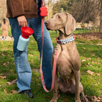 Dog Treat Dispenser product image 26