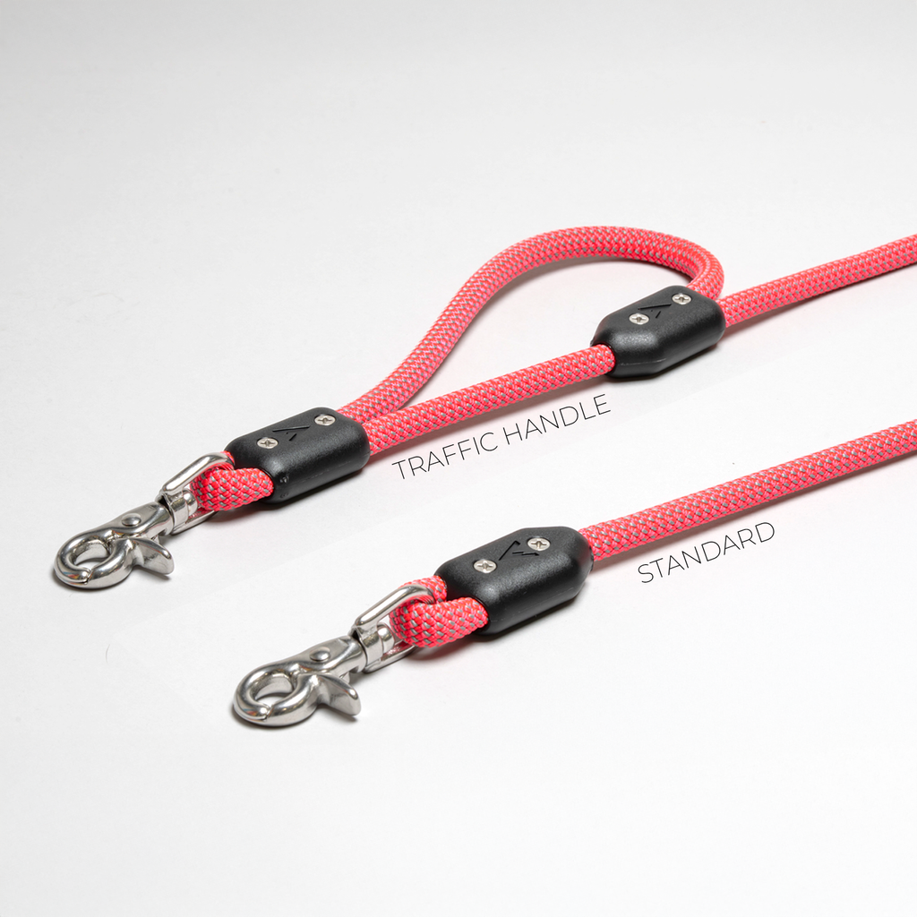 Climbing Rope Dog Leash with Stainless Steel Swivel Clip for Daily 5- or 8-Foot Walks and Trail Outings product image 27