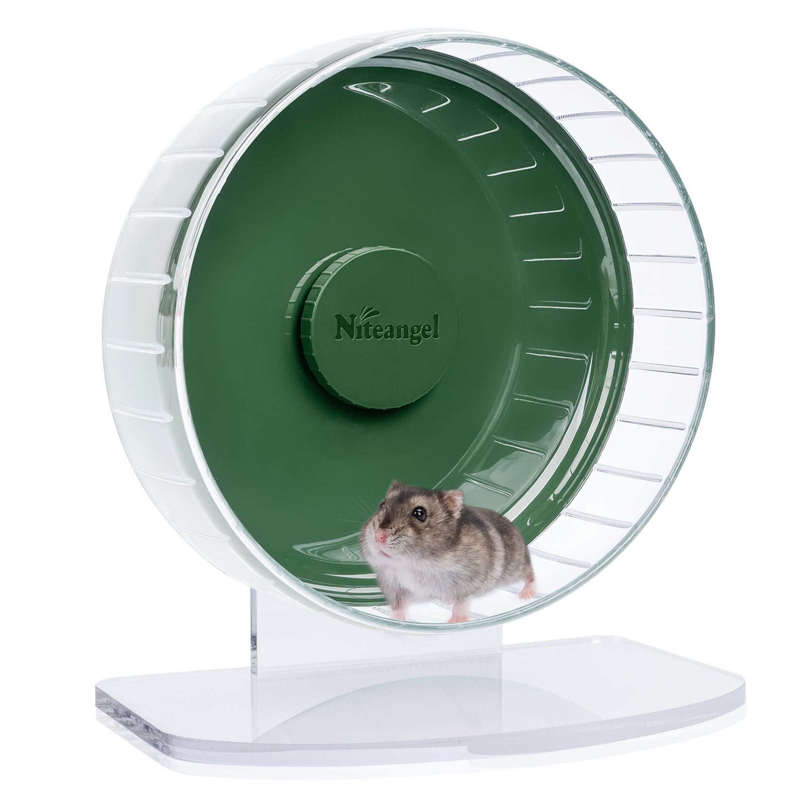 Super-Silent Hamster Exercise Wheel with Adjustable Height and Dual-Bearing Spinner in Four Sizes source image 27