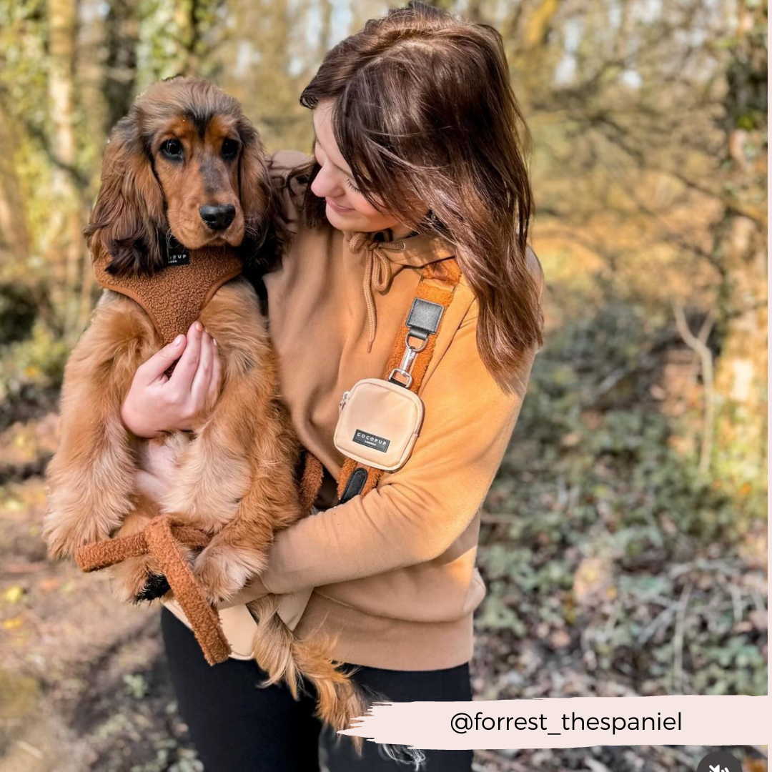 Adjustable Neck Dog Harness in Teddy Texture, Lightweight Walking Vest for XXS to Large Dogs source image 27