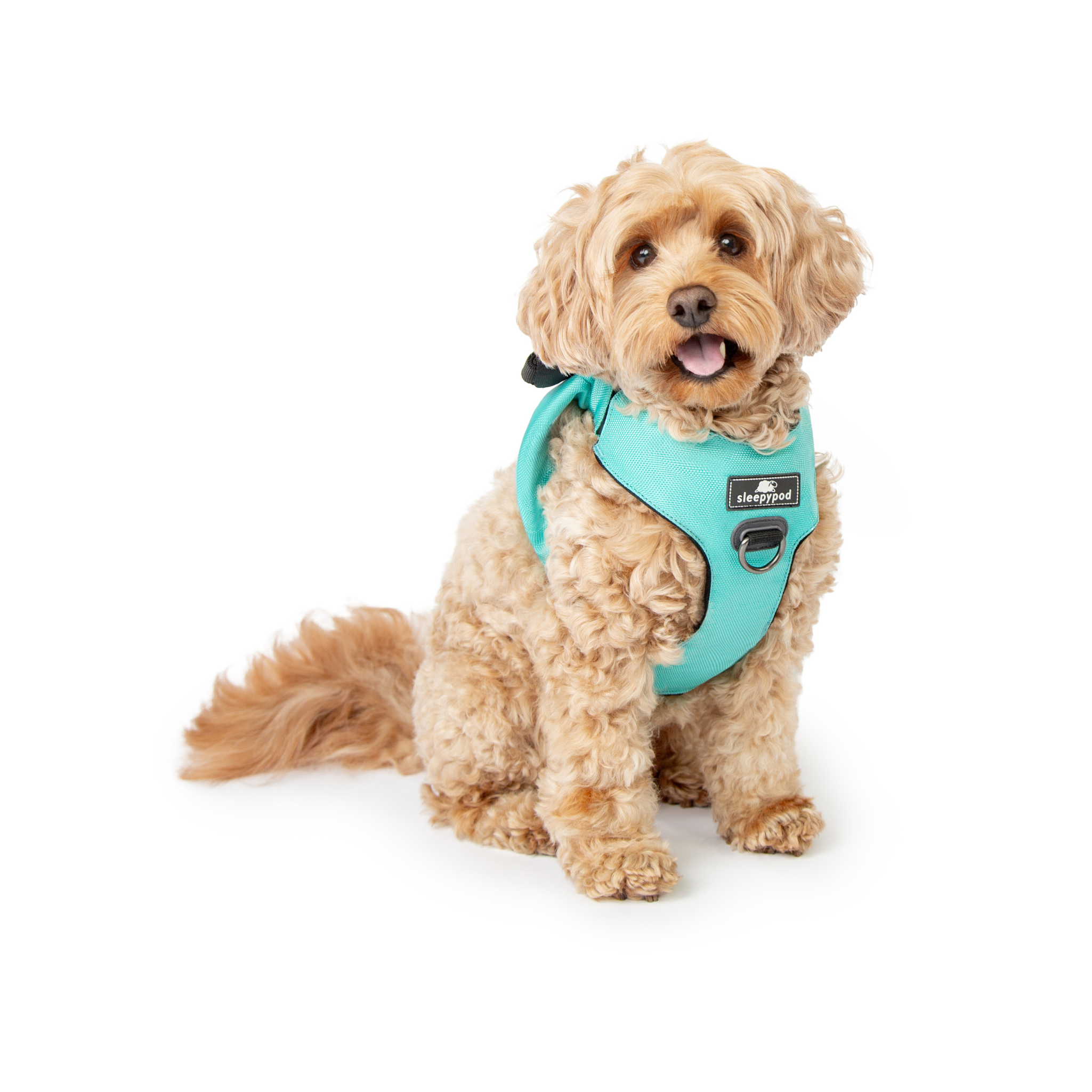 Crash-Tested Dog Car Safety Harness product image 27