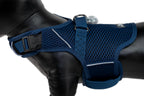 Martingale Dog Harness product image 27