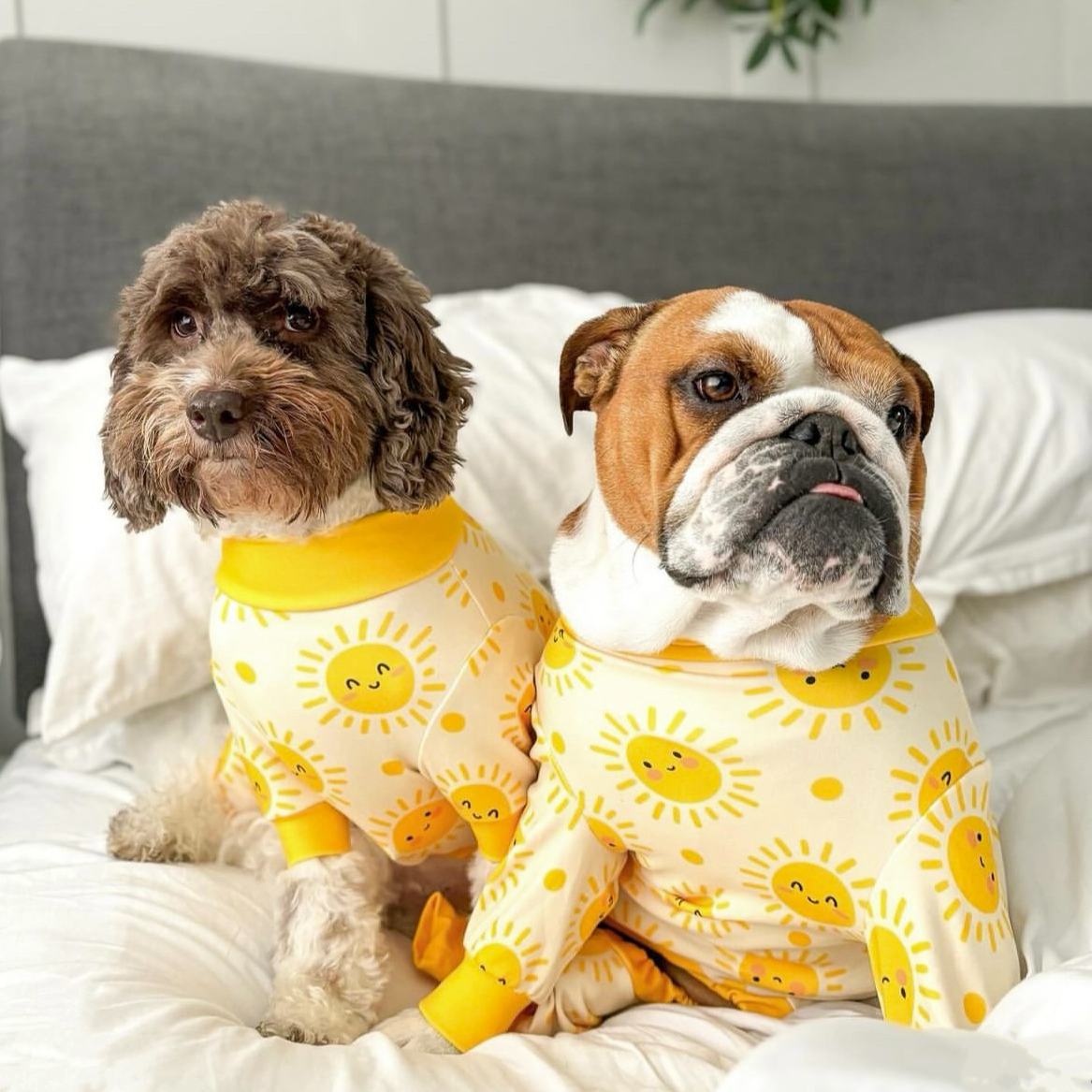 Dog Pajamas product image 27