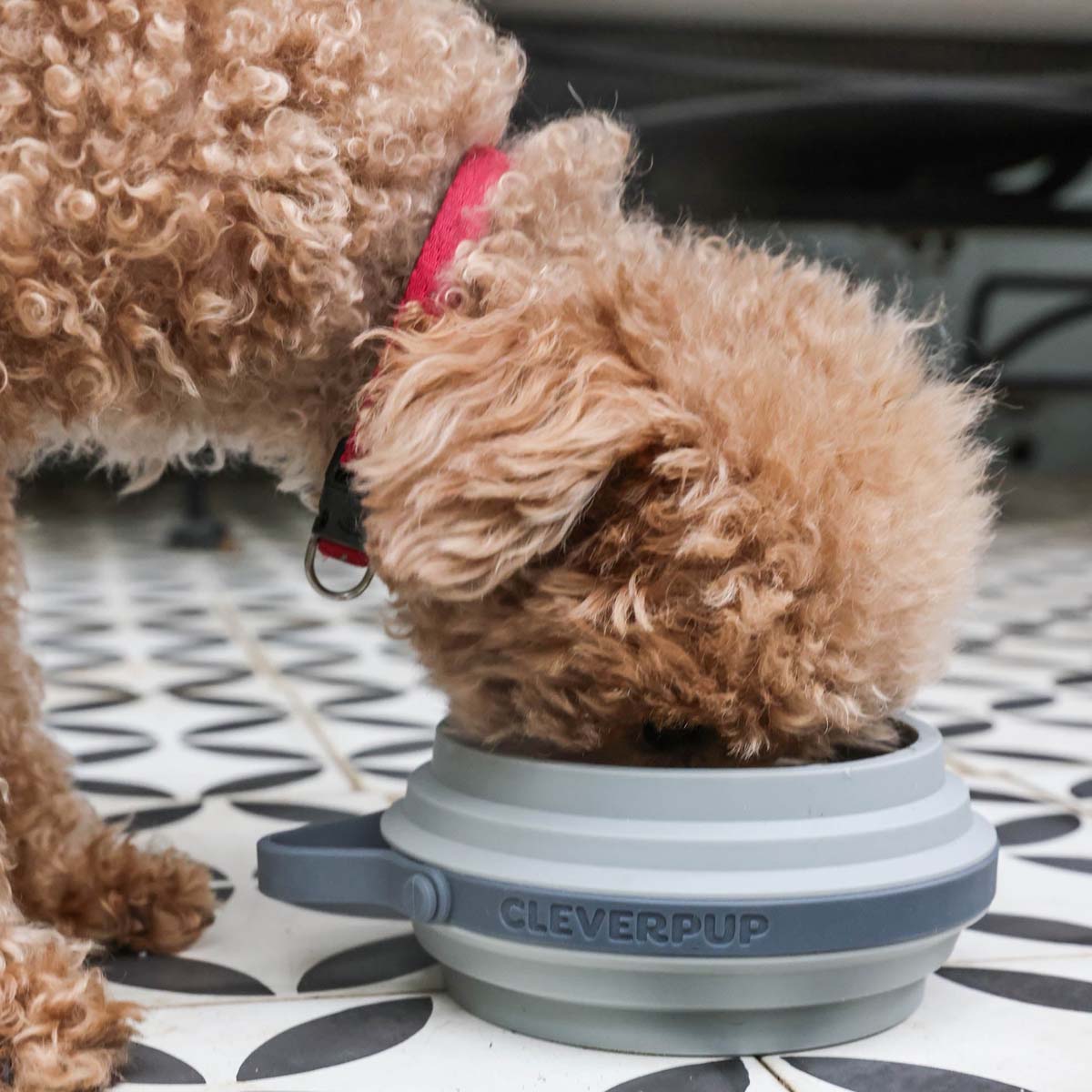 Travel Dog Bowl product image 27