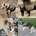 Heavy-Duty Tactical No-Pull Dog Harness with Dual D-Ring Control and Quick-Release Metal Buckles product image 28