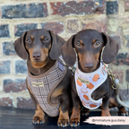 Adjustable Plaid Dog Harness for Comfortable Walks, Lightweight Polyester Design in Five Sizes source image 28