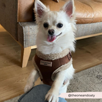 Adjustable Neck Dog Harness, Brown Faux Suede Walking Vest with Soft Fluffy Trim in XXS to Large Sizes source image 28